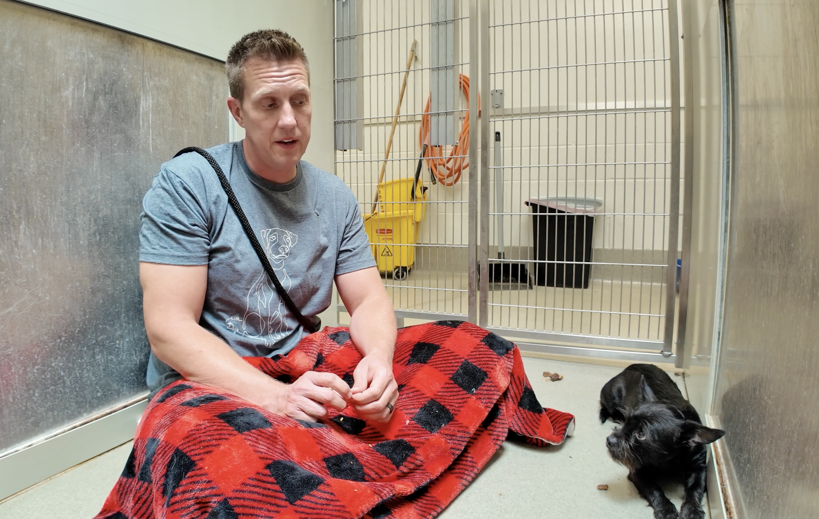 Ryder - Sitting with dogs 98